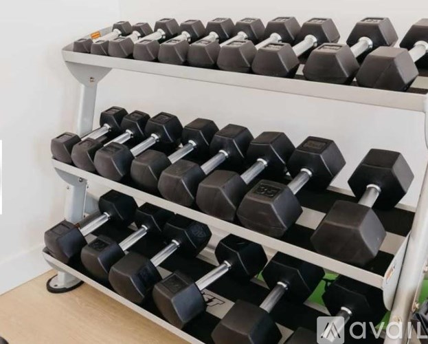 A rack of black dumbbells is on a wooden floor.