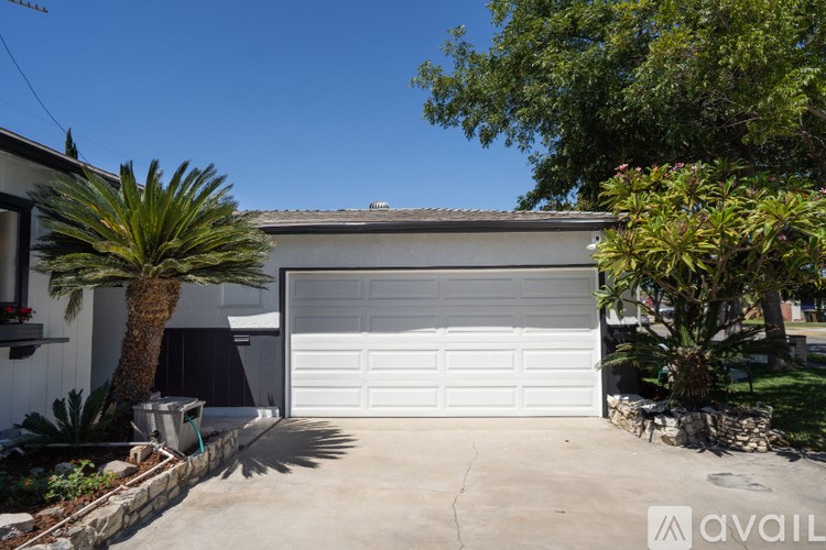 A house with a white garage door and a palm tree in front.