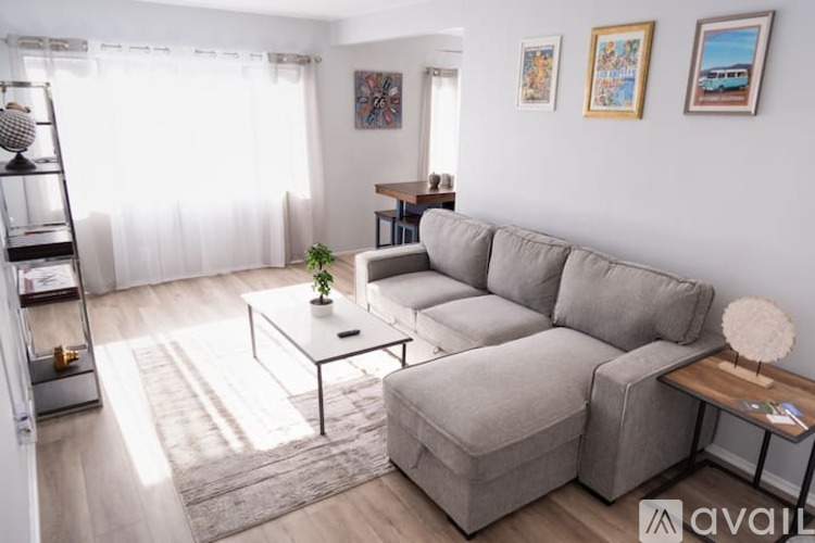 A living room with a grey sofa, a glass table, and a small potted plant.