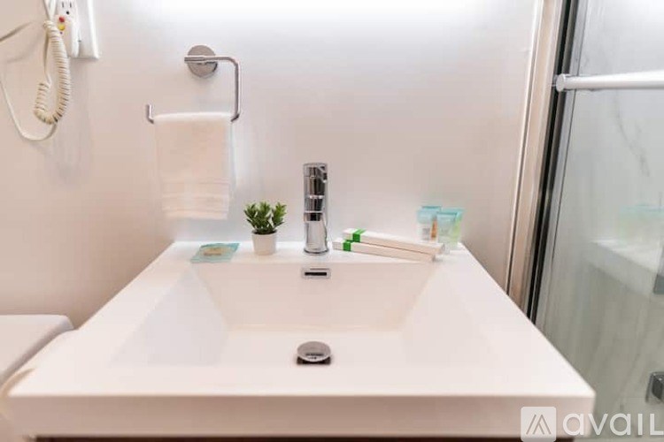 A white bathroom sink with a silver faucet and a small plant on the counter.