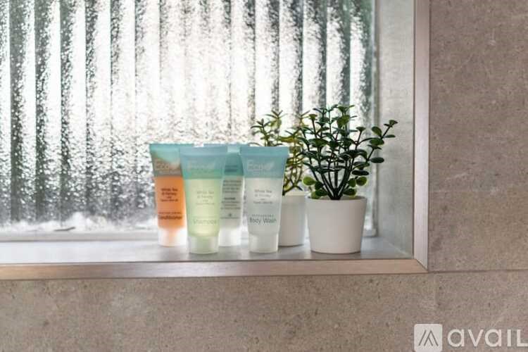 A set of four bottles of lotion are lined up on a window sill.