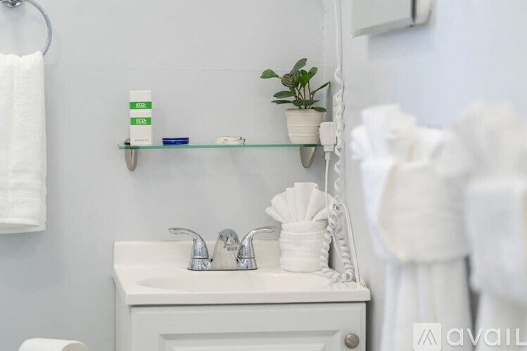 A white bathroom sink with a plant on the shelf.