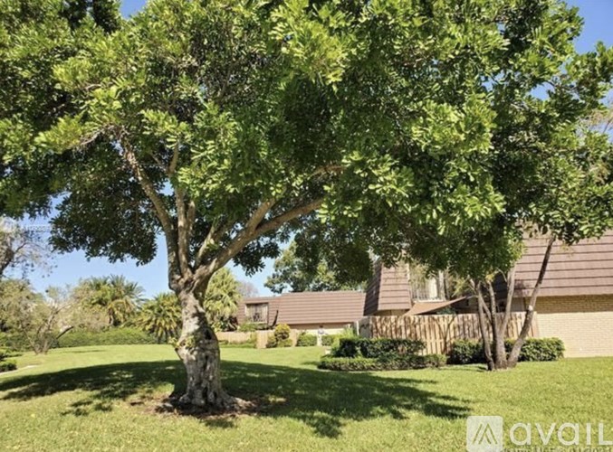 A large tree with lush green leaves stands in a grassy area in front of a house.