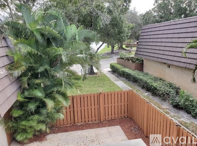 A backyard with a wooden fence and a palm tree.