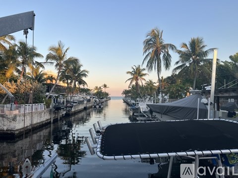 A marina with boats docked and palm trees in the background.