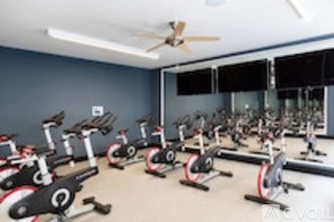 A row of stationary bikes are lined up in a room.