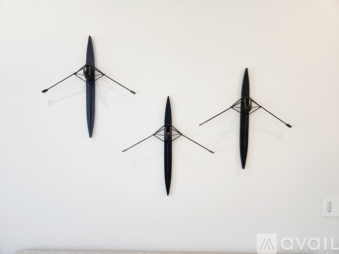 Three surfboards are mounted on a wall.