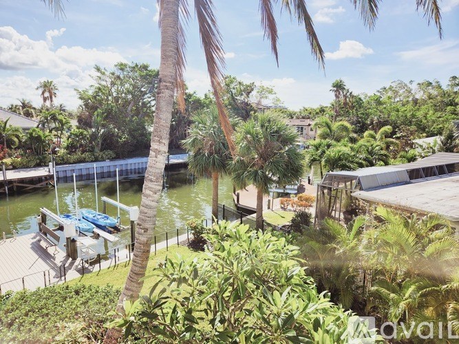 A view of a dock with boats and a palm tree.