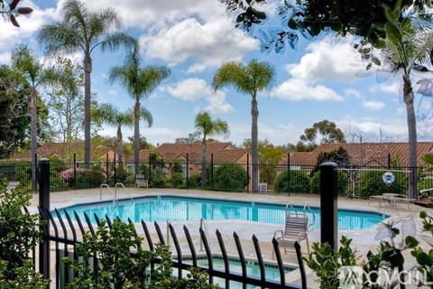 A pool surrounded by a black fence with trees in the background.