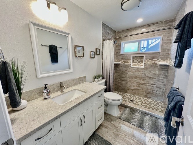 A bathroom with a walk-in shower and a toilet.