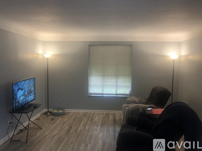 A living room with a television, two chairs, and a bowl on the floor.