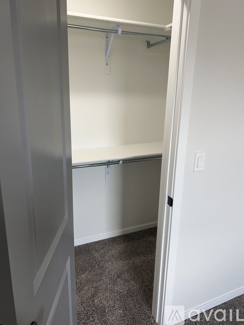 A white closet with a grey carpet and a white door.