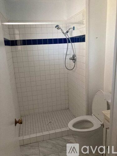 A white toilet with a blue stripe on the wall behind it.