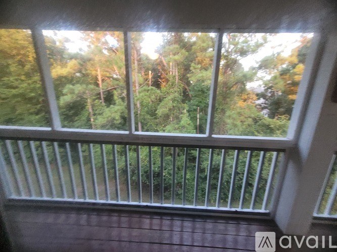 A view from a window looking out to a forest.