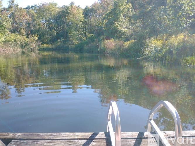 A serene lake surrounded by trees with a dock in the foreground.