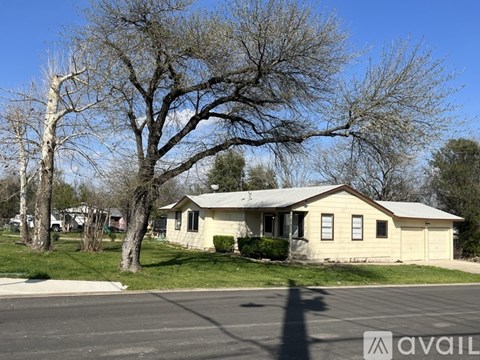 A house with a tree in front of it.