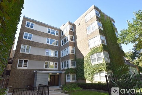 A multi-story building with a green vine on the side.