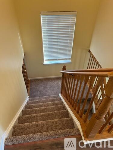 A staircase with a carpeted runner and wooden banister.