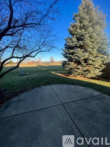 A concrete patio with a tree and a field in the background.