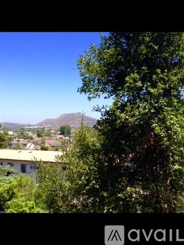 A tree in the foreground with a mountain in the background.