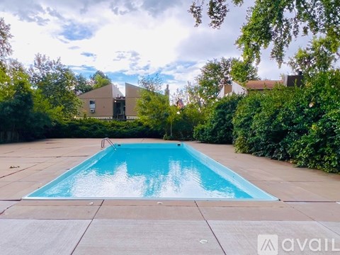 A swimming pool surrounded by a concrete patio and greenery.