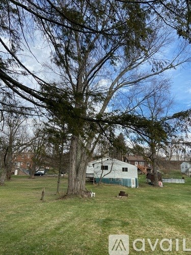 A tree in a grassy field with a house in the background.
