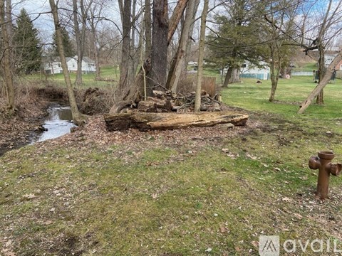 A small stream flows through a grassy area with a tree stump and a fire hydrant.