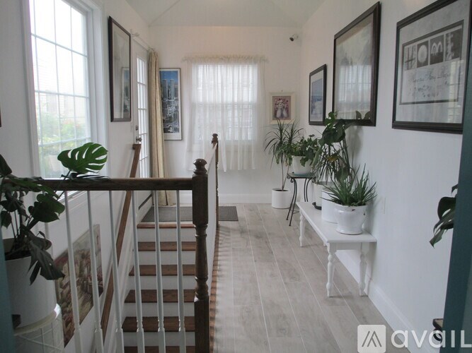 A hallway with a staircase and potted plants.