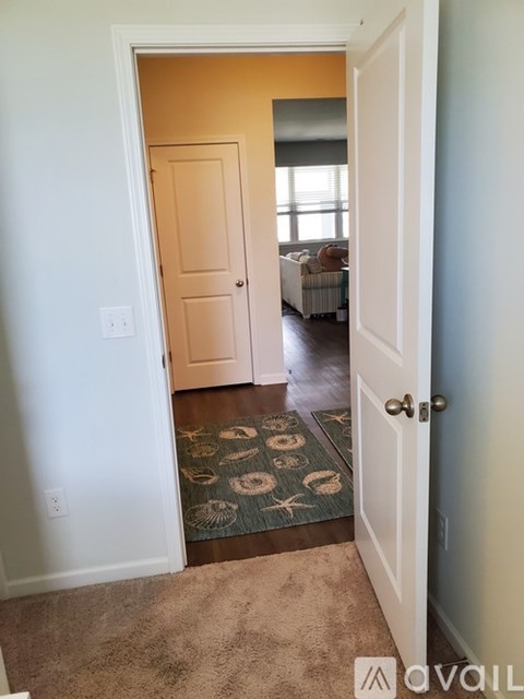 A hallway with a rug and a door leading to a living room.