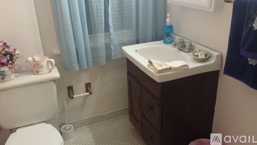 A bathroom with a sink, toilet, and a window with curtains.