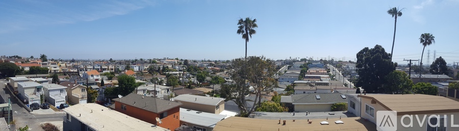 A view of a residential area with houses and palm trees.