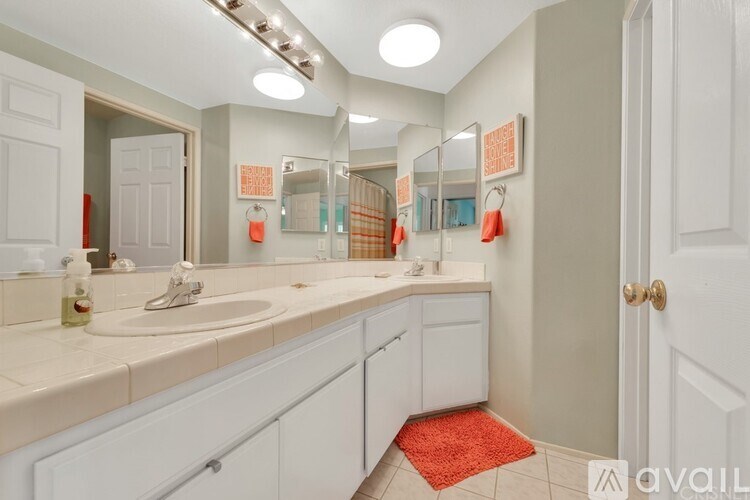 A bathroom with a white sink and a red rug.