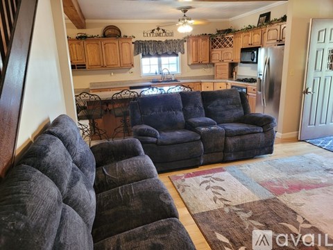 A living room with a grey couch and a rug.