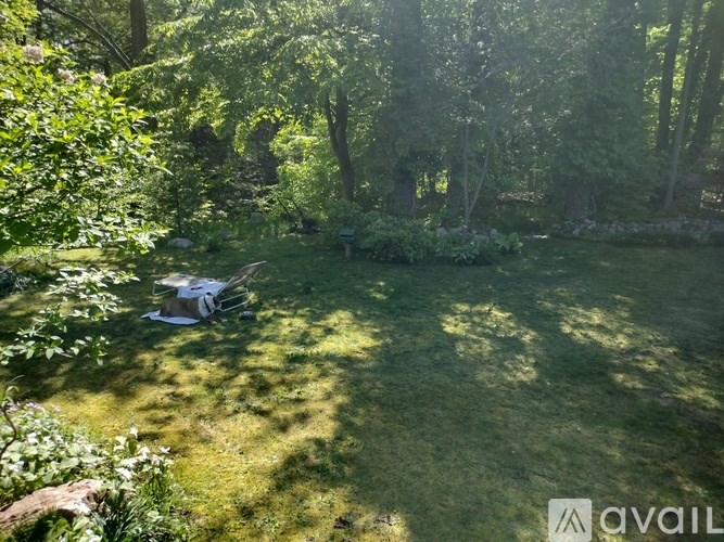 A sunny day in a lush green garden with a white object on the grass.