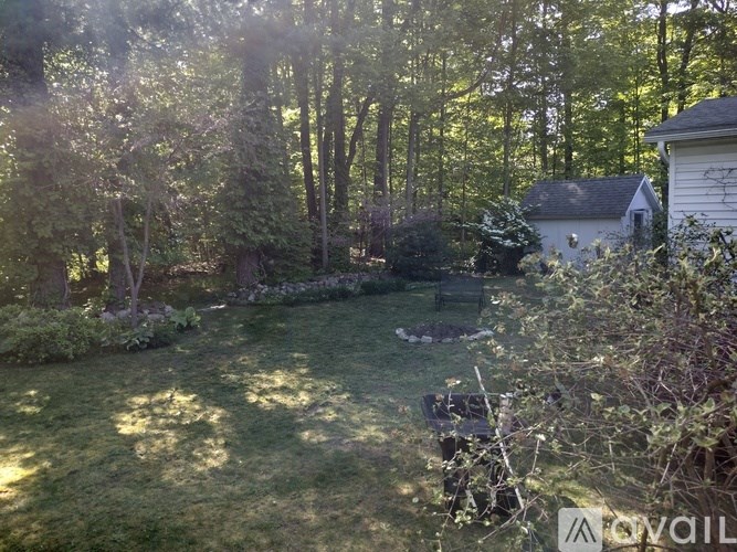 A backyard with a lawn, trees, and a house.