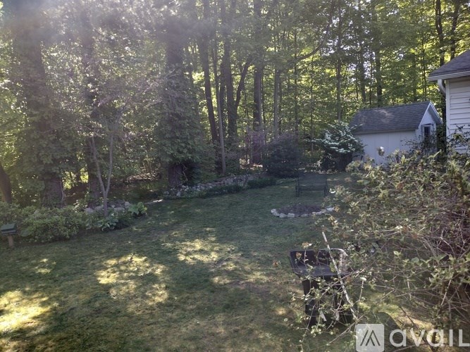A backyard with a lawn, trees, and a house.