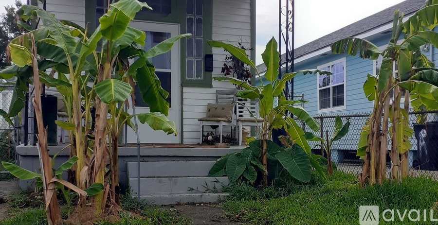 A house with a blue exterior is surrounded by green plants.