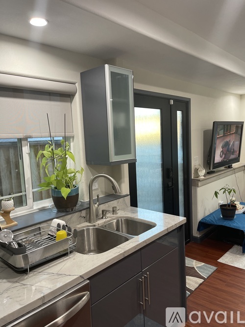 A kitchen with a sink, a window, and a plant.