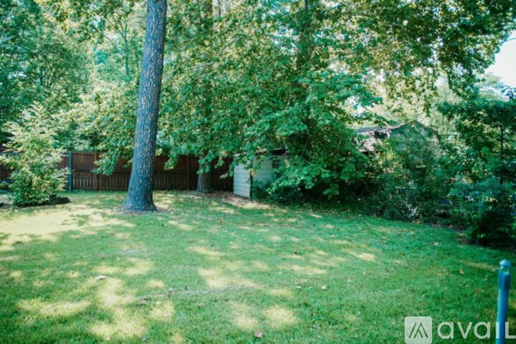 A backyard with a tree and a fence.