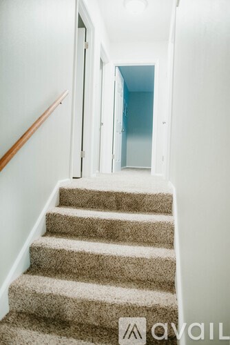 A staircase with a carpeted runner and a wooden handrail.