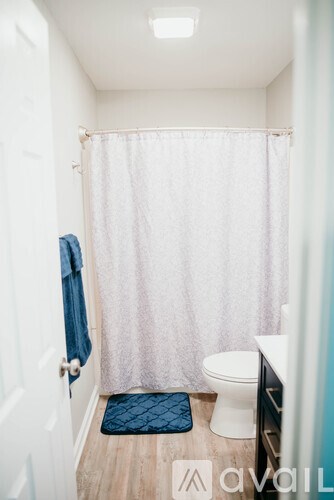 A small bathroom with a toilet, a shower curtain and a mat on the floor.