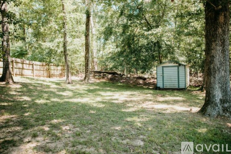 A backyard with a shed and a fence.