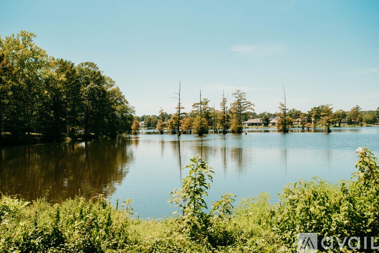 A serene lake surrounded by lush greenery under a clear blue sky.