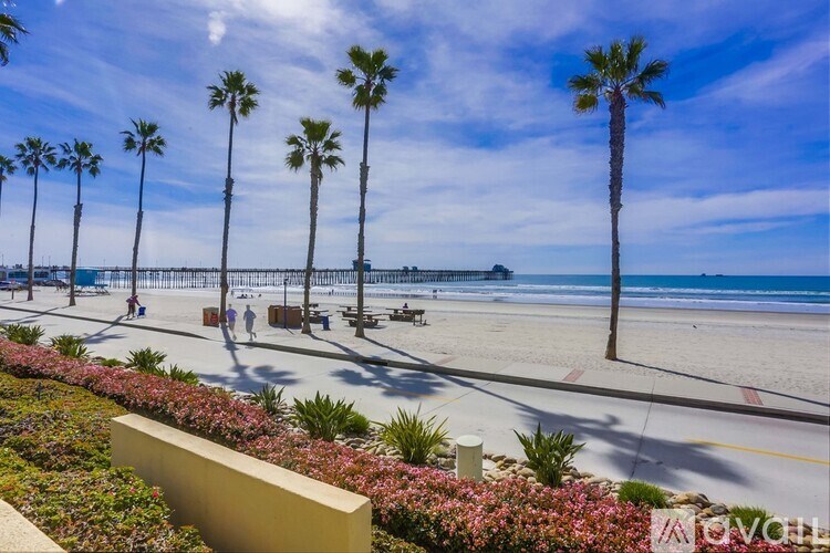 A row of palm trees line a beachfront walkway.