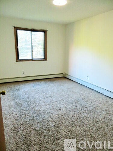 A room with a carpeted floor and a window.
