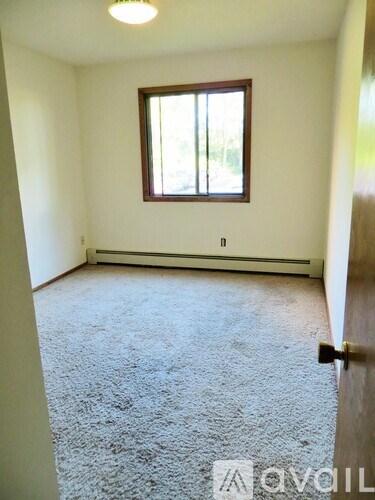 A room with a carpeted floor, a window, and a door.