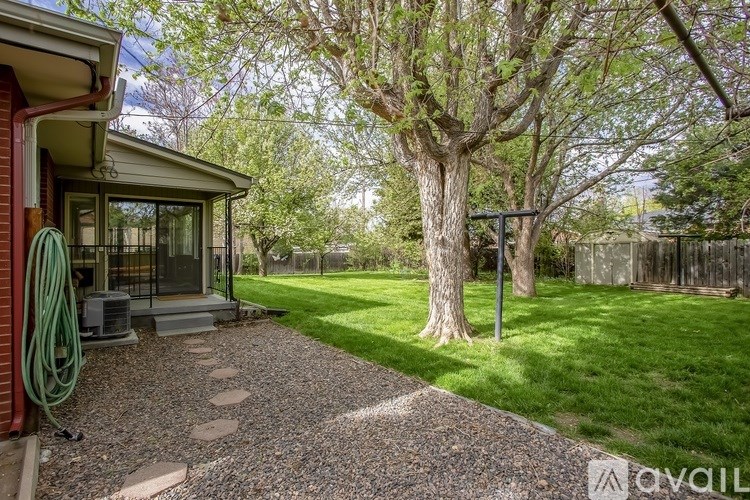 A backyard with a gravel path and a tree.