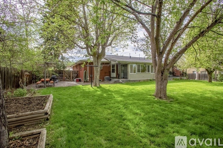 A backyard with a tree, a fence, and a house.