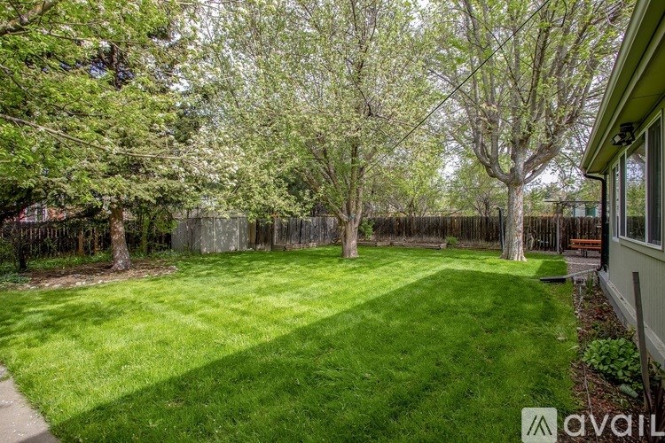 A backyard with a fence and trees.