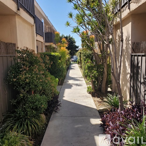 A sunny day in a quiet residential area with a sidewalk lined with trees and plants.